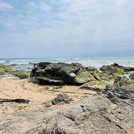 펜션 Pinede, Et Billard Les Sables-dʼOlonne
